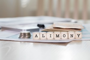Alimony is called Maintenance in New York